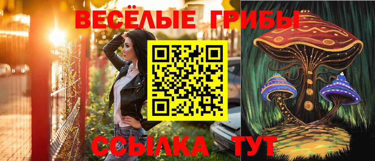 Галлюциногенные грибы Cubensis  Вход с VPN  Сорочинск 